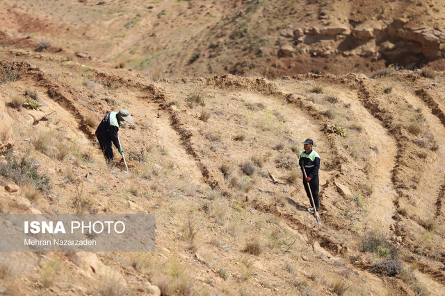 اجرای طرح توسعهی ۶۰۰ هکتاری فضای سبز تبریز