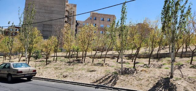 چه بر سر فضای سبز تبریز آمده است؟