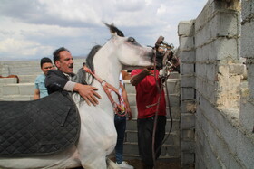 دومین جشنواره ملی شو سواره در اهر