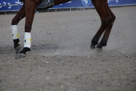 دومین جشنواره ملی شو سواره در اهر