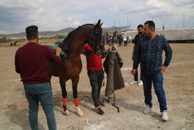 دومین جشنواره ملی شو سواره در اهر