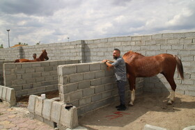 دومین جشنواره ملی شو سواره در اهر