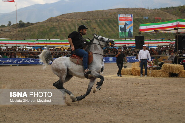 دومین جشنواره ملی شو سواره در اهر