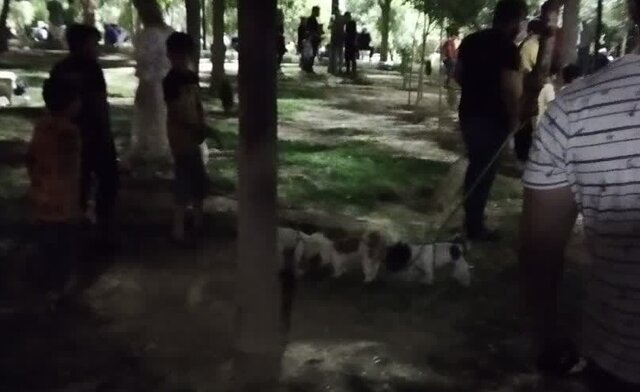 وقتی زندگی بدون حیوانات خانگی غیرممکن میشود ...