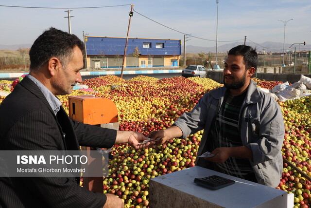 خسارت ۸۰ درصدی بلایای طبیعی به باغات سیب اهر