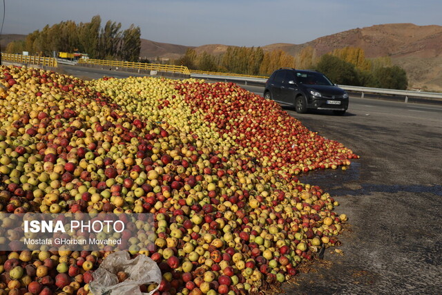 فرآوری ۳۳۰ هزار تن سیب صنعتی در آذربایجانغربی فرآوری ۳۳۰ هزار تن سیب صنعتی در آذربایجانغربی