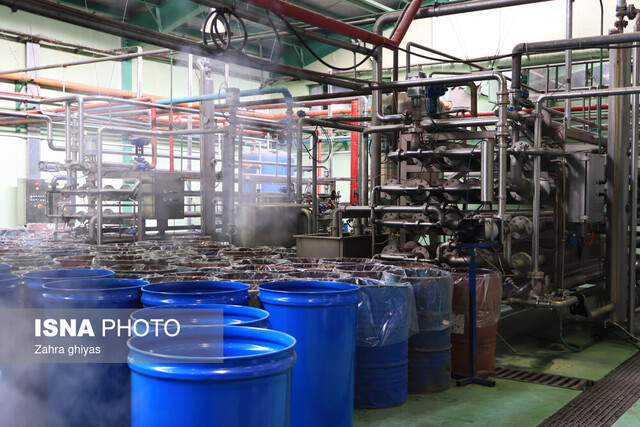 واحد تولیدی راکد که پس از احیاء ۶ میلیون دلار صادرات کرد