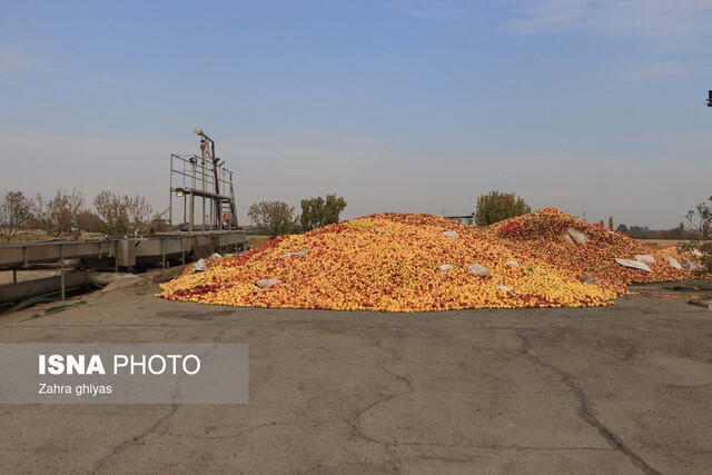 واحد تولیدی راکد که پس از احیاء ۶ میلیون دلار صادرات کرد