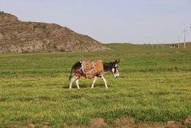 ارسباران سرزمین رنگ ها