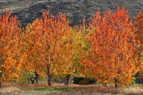 ارسباران سرزمین رنگ ها