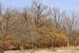 ارسباران سرزمین رنگ ها