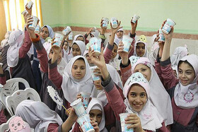 آغاز توزیع شیر رایگان در مدارس خراسان جنوبی