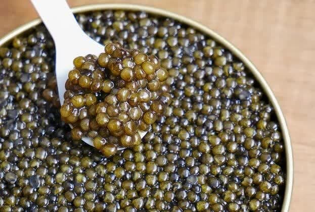 استحصال خاویار برای اولین بار در استان آذربایجان شرقی استحصال خاویار برای اولین بار در استان آذربایجان شرقی