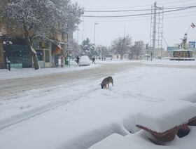 تشدید بارش برف در شهرستان اهر و منطقه ارسباران