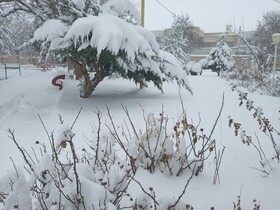 برف، برق حدود ۹۰ روستای لرستان را قطع کرد