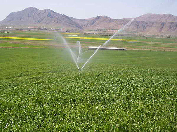۱۰۷ پروژه بخش کشاورزی در آذربایجان‌شرقی افتتاح شد