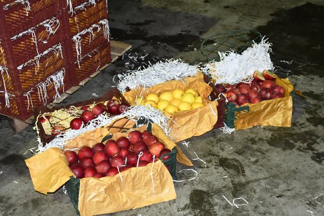 آغاز توزیع میوه نوروز ۱۴۰۳ در سراسر استان آذربایجان شرقی 