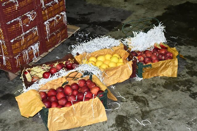 آغاز توزیع میوه نوروز ۱۴۰۳ در سراسر استان آذربایجان شرقی