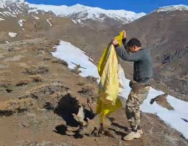 موزه تاریخ طبیعی تبریز آماده پذیرایی از میهمانان نوروزی است