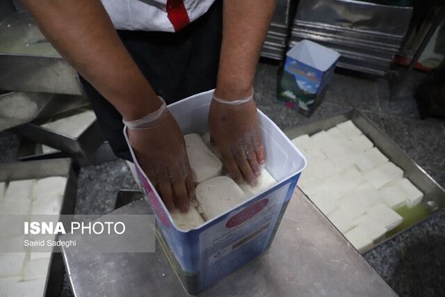 سفر به لیقوان، پایتخت پنیر ایران