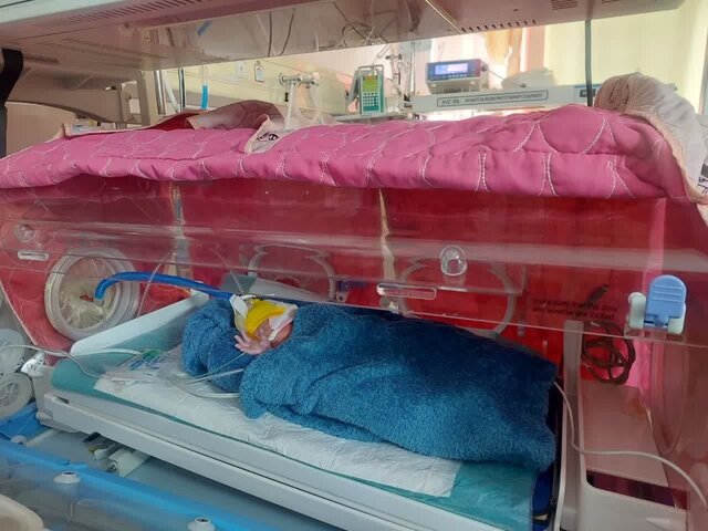 تولد ۵ قلوها در تبریز