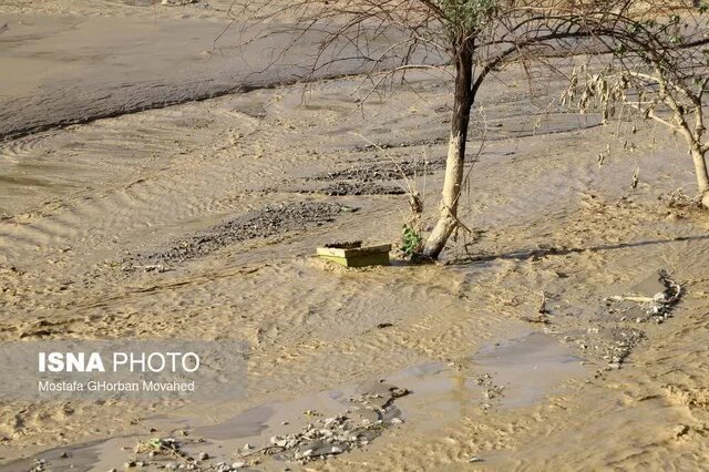 خسارت سیل به اراضی باغی و زراعی روستای افیل شهرستان اهر