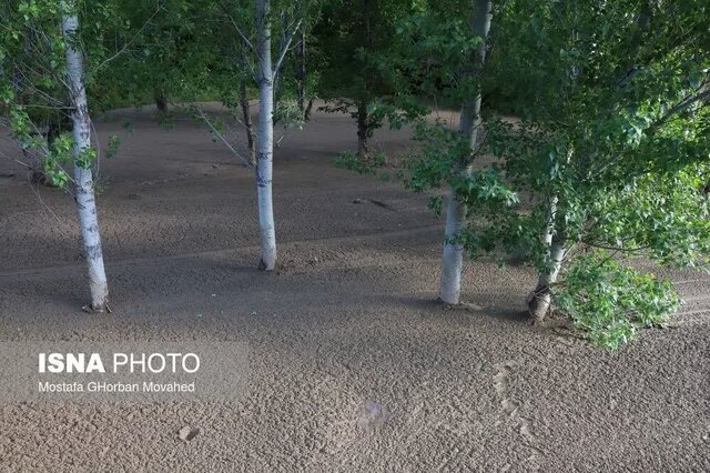 خسارت سیل به اراضی باغی و زراعی روستای افیل شهرستان اهر