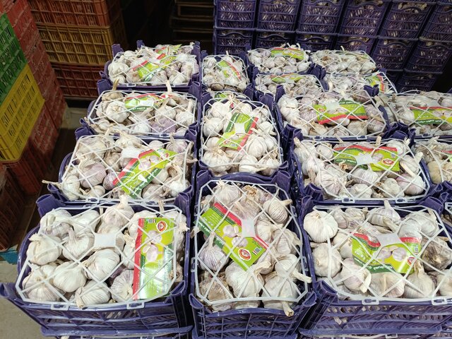 شهرستان آذرشهر در هر محصولی سرآمد است