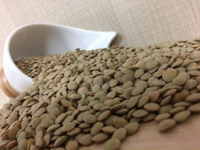 آذربایجان شرقی رتبه نخست تولید عدس در کشور آذربایجان شرقی رتبه نخست تولید عدس در کشور