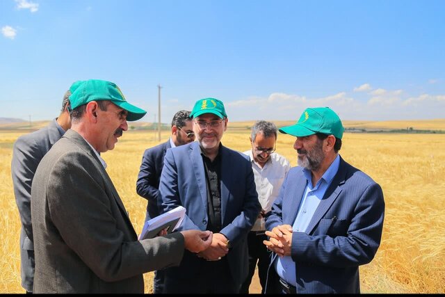 موسسه تحقیقات دیم کشور نقش مهمی در امنیت غذایی دارد موسسه تحقیقات دیم کشور نقش مهمی در امنیت غذایی دارد