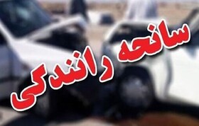 ۲۰۷ مصدوم سوانح ترافیکی در فارس تنها در یک روز