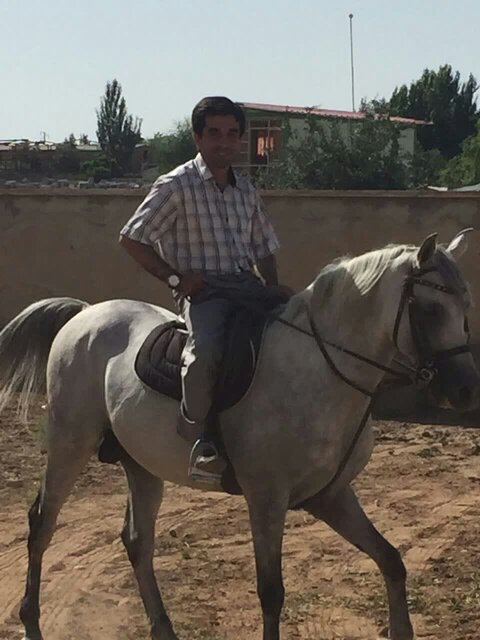 هویتگذاری بیش از ۲ هزار اسب در آذربایجان شرقی