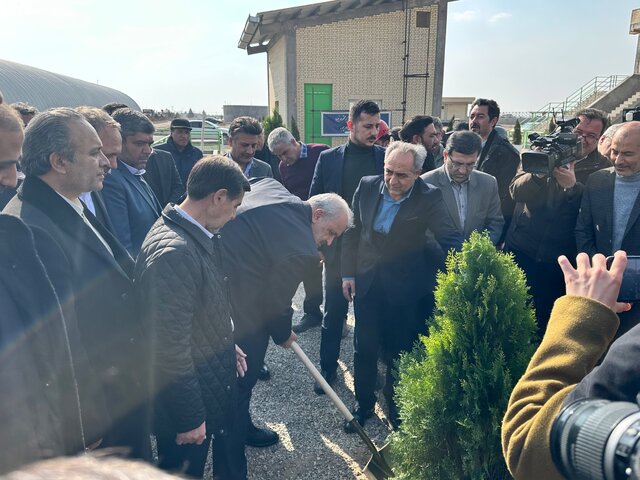 غرس یک اصله نهال توسط وزیر نیرو در تبریز غرس یک اصله نهال توسط وزیر نیرو در تبریز