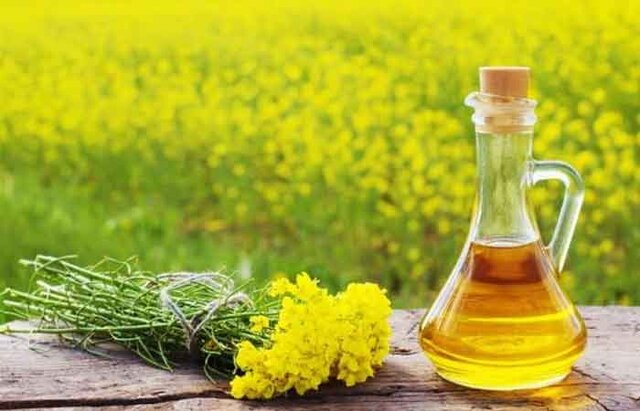 روغن کلزا در مقایسه با سایر روغن‌های خوراکی دارای کمترین چربی اشباع است