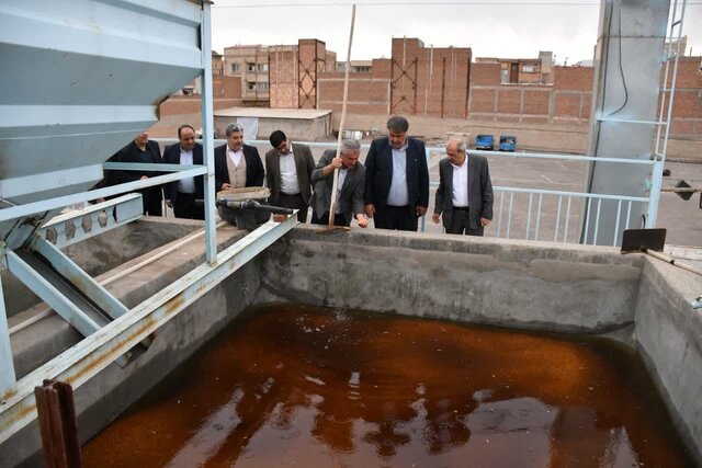 تولید ۹۹ درصد لپه کشور در شهرستان آذرشهر