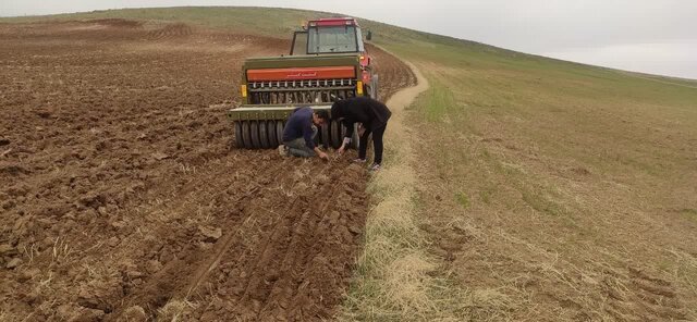 آغاز کشت گاودانه در اراضی دیم بستانآباد آغاز کشت گاودانه در اراضی دیم بستانآباد