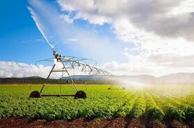 آذربایجان شرقی پیشرو در اجرای سیستم‌های نوین آبیاری