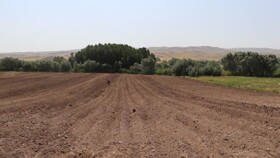 افتتاح ۳۵ هکتار سیستم آبیاری بارانی در بستان‌آباد