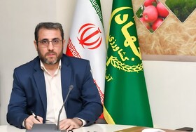 خرید بیش از ۹۰۰۰ تن گندم توسط تعاون روستایی آذربایجان شرقی