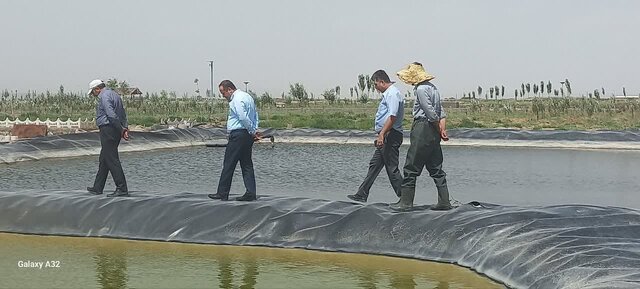 اولین مزرعه پرورش آرتمیا در آذربایجان شرقی به بهرهبرداری میرسد اولین مزرعه پرورش آرتمیا در آذربایجان شرقی به بهرهبرداری میرسد