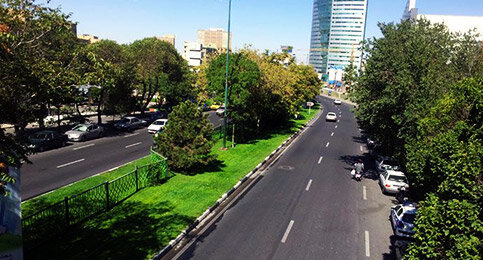 قطع ۸ اصله درخت در بلوار ۲۹ بهمن تبریز به دلیل وزش باد شدید و خطر سقوط