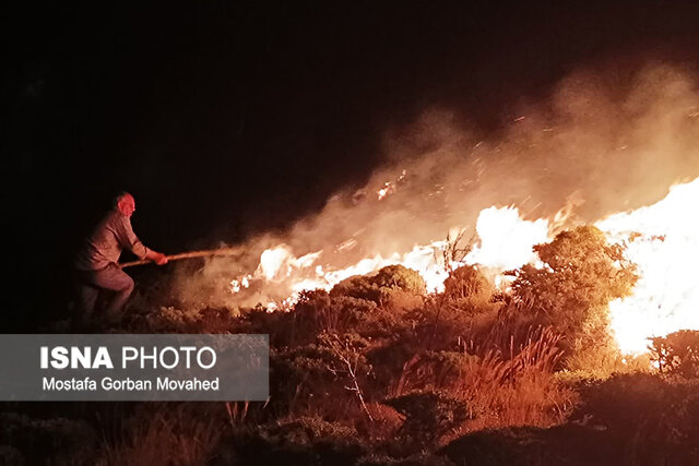 عکس تزیینی است مدیرکل محیط زیست استان تهران: با پسماندسوزی عمدی برخورد قانونی میشود
