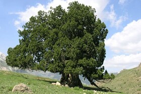 برای حفاظت از آثار طبیعی باید آنها را ثبت ملی یا جهانی کرد