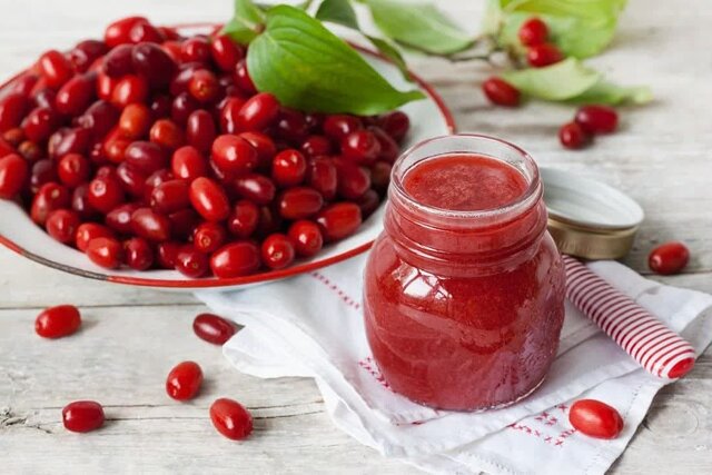 برداشت ۳۵۰ تن زغال‌ اخته از سطح ۷۰ هکتار باغات شهرستان خداآفرین