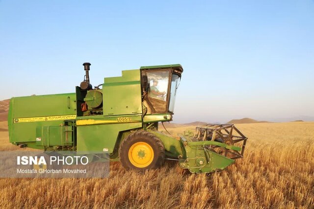 اهر، قطب مهم تولید گندم و جو در آذربایجان شرقی