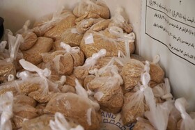 آیین شکرگزاری برداشت گندم در مراغه