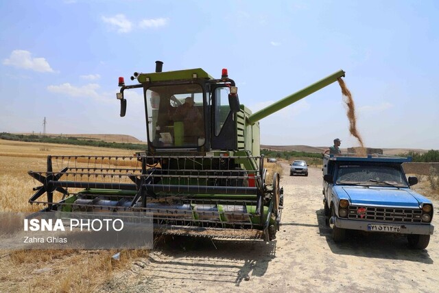 عکس تزئینی است پرداخت ۳۸۸ میلیارد تومان از مطالبات گندمکاران زنجانی