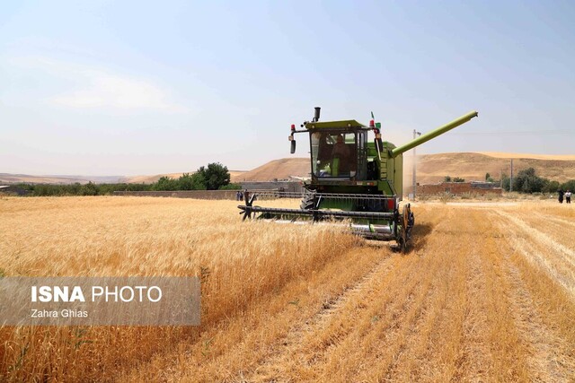 کاهش سن‌زدگی گندم در استان مرکزی/ مکانیزاسیون نیازمند تسهیلات بسیار