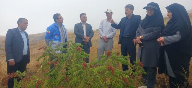 استفاده از عوامل بیولوژیک در باغات انار جلفا