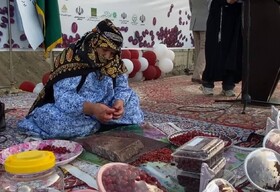 هشتمین جشنواره زغال‌اخته در شهرستان کلیبر برگزار شد